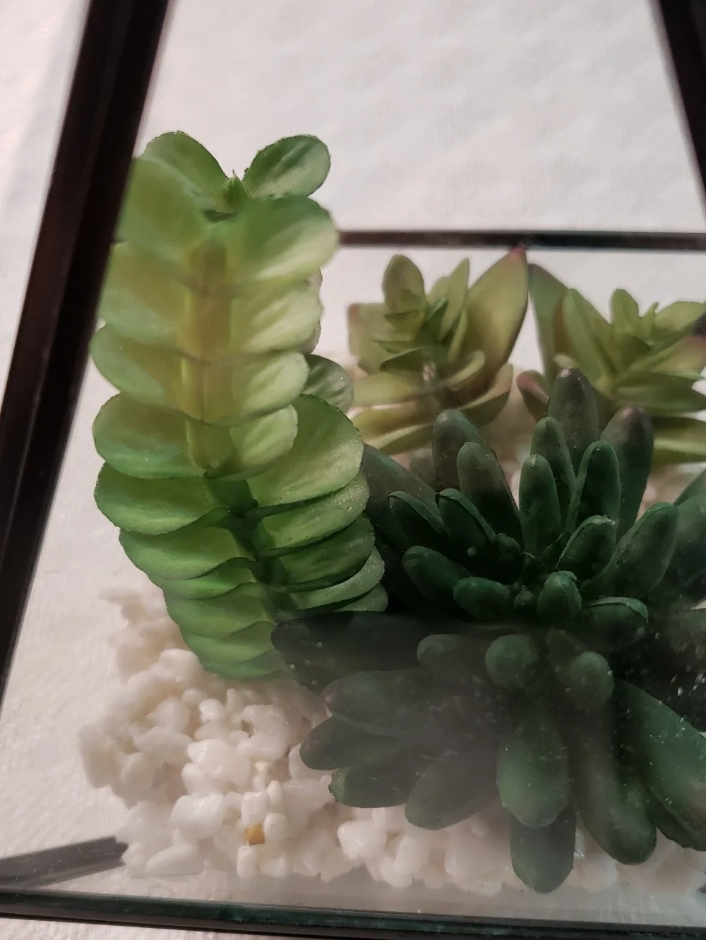 Source Unknown Black Pyramid Glass Terrarium with Green Faux Succulents